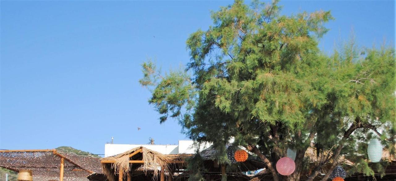 Puerto Seaside Rooms Akhladherí エクステリア 写真